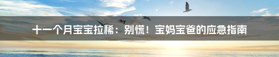 十一个月宝宝拉稀：别慌！宝妈宝爸的应急指南