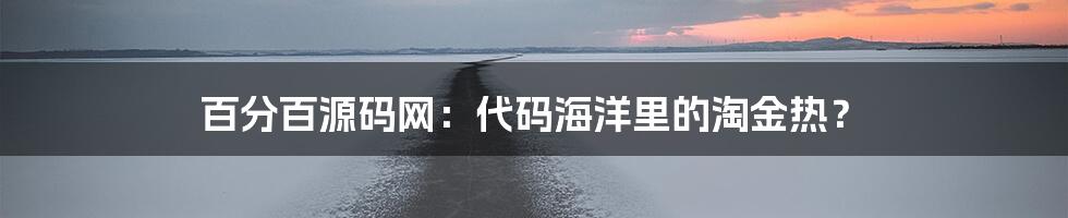 百分百源码网：代码海洋里的淘金热？