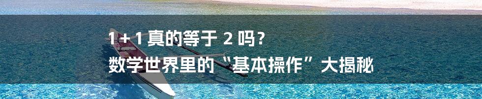 1 + 1 真的等于 2 吗？ 数学世界里的“基本操作”大揭秘