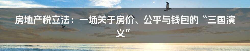 房地产税立法：一场关于房价、公平与钱包的“三国演义”