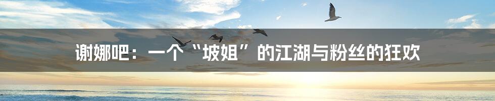 谢娜吧:一个“坡姐”的江湖与粉丝的狂欢