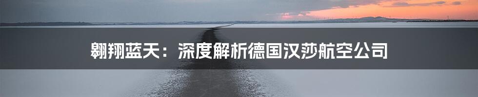 翱翔蓝天：深度解析德国汉莎航空公司