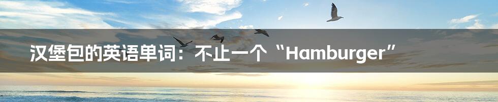 汉堡包的英语单词：不止一个“Hamburger”