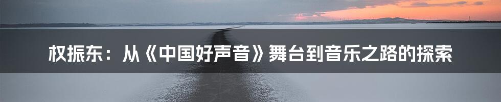 权振东:从《中国好声音》舞台到音乐之路的探索