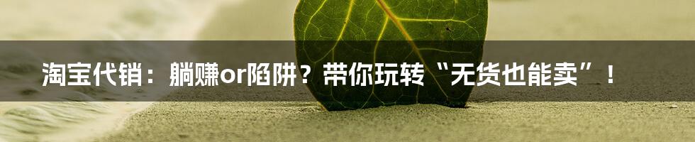 淘宝代销:躺赚or陷阱?带你玩转“无货也能卖”!