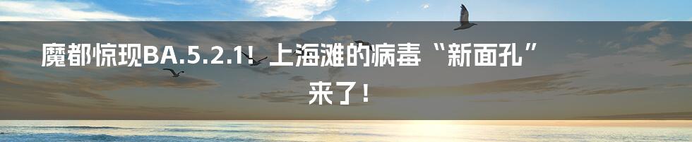 魔都惊现BA.5.2.1！上海滩的病毒“新面孔”来了！
