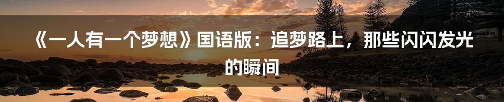 《一人有一个梦想》国语版:追梦路上,那些闪闪发光的瞬间