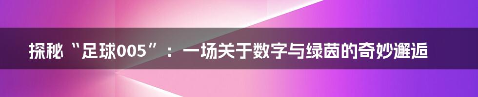 探秘“足球005”：一场关于数字与绿茵的奇妙邂逅