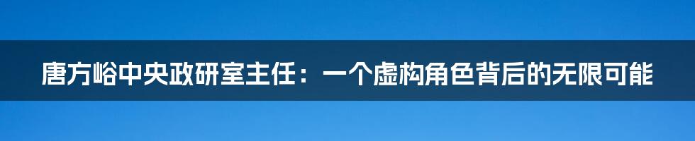 唐方峪中央政研室主任：一个虚构角色背后的无限可能