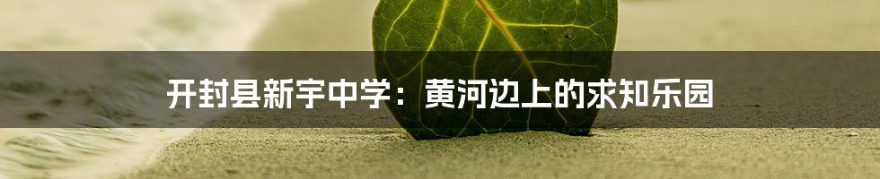 开封县新宇中学:黄河边上的求知乐园