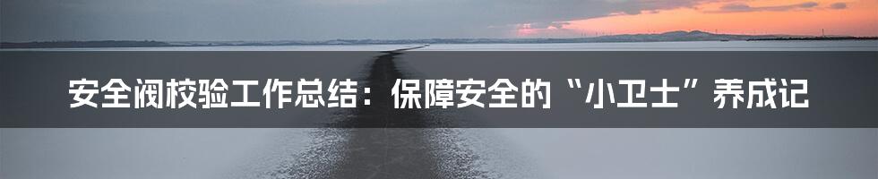 安全阀校验工作总结:保障安全的“小卫士”养成记