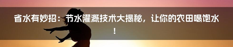 省水有妙招:节水灌溉技术大揭秘,让你的农田喝饱水!