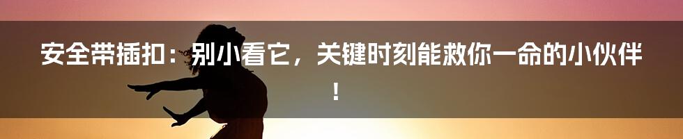 安全带插扣:别小看它,关键时刻能救你一命的小伙伴!
