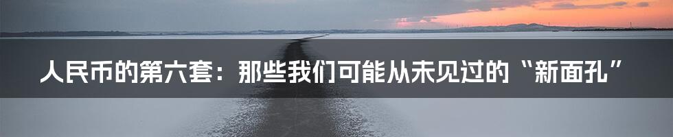 人民币的第六套:那些我们可能从未见过的“新面孔”