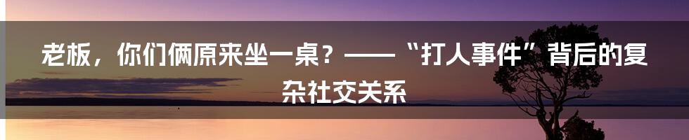 老板,你们俩原来坐一桌?——“打人事件”背后的复杂社交关系