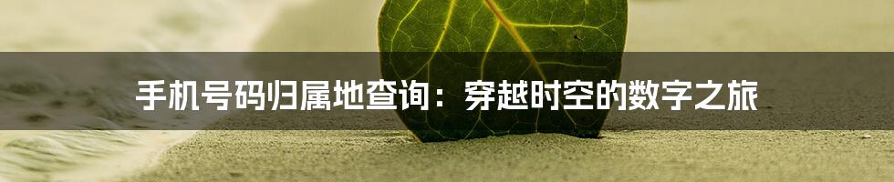 手机号码归属地查询:穿越时空的数字之旅