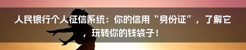 人民银行个人征信系统：你的信用“身份证”，了解它，玩转你的钱袋子！