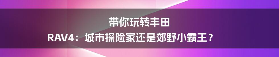带你玩转丰田 RAV4:城市探险家还是郊野小霸王?