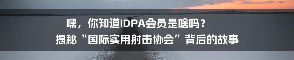 嘿，你知道IDPA会员是啥吗？ 揭秘“国际实用射击协会”背后的故事
