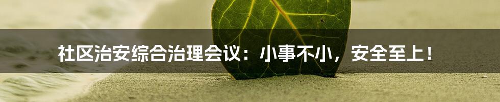 社区治安综合治理会议:小事不小,安全至上!