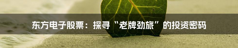 东方电子股票：探寻“老牌劲旅”的投资密码