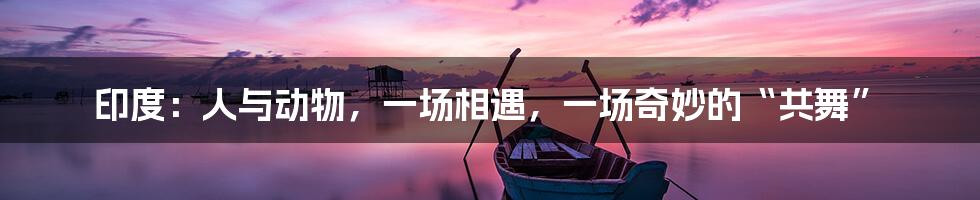 印度：人与动物，一场相遇，一场奇妙的“共舞”