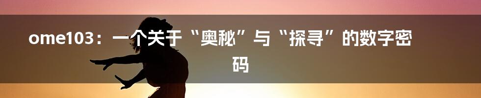ome103:一个关于“奥秘”与“探寻”的数字密码