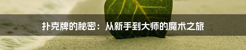 扑克牌的秘密：从新手到大师的魔术之旅