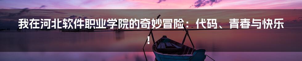 我在河北软件职业学院的奇妙冒险:代码、青春与快乐!
