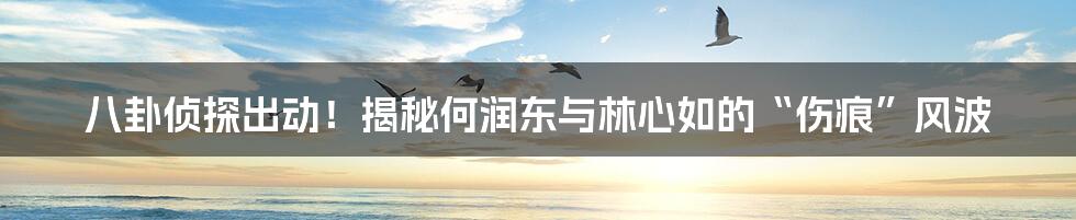 八卦侦探出动！揭秘何润东与林心如的“伤痕”风波