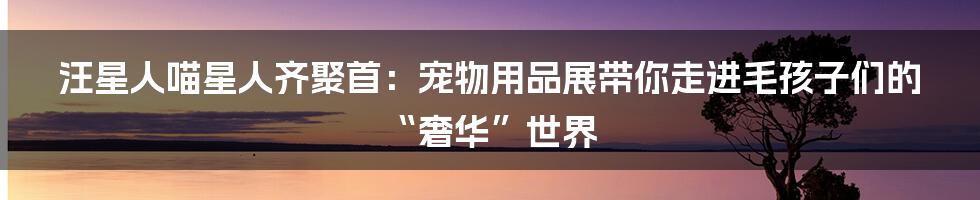 汪星人喵星人齐聚首：宠物用品展带你走进毛孩子们的“奢华”世界