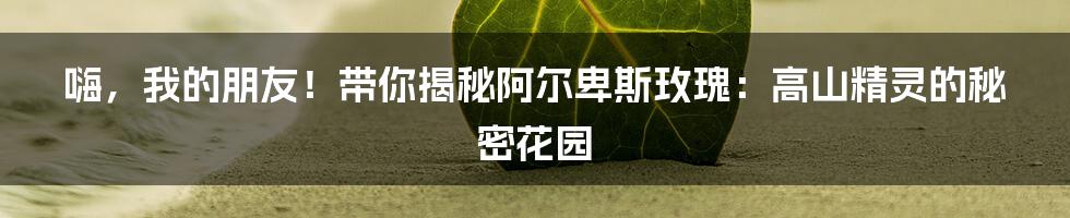 嗨，我的朋友！带你揭秘阿尔卑斯玫瑰：高山精灵的秘密花园