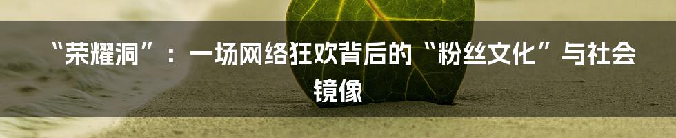 “荣耀洞”:一场网络狂欢背后的“粉丝文化”与社会镜像