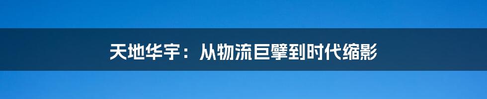 天地华宇：从物流巨擘到时代缩影