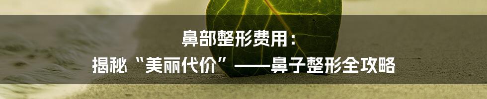 鼻部整形费用： 揭秘“美丽代价”——鼻子整形全攻略