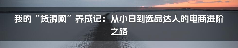 我的“货源网”养成记：从小白到选品达人的电商进阶之路