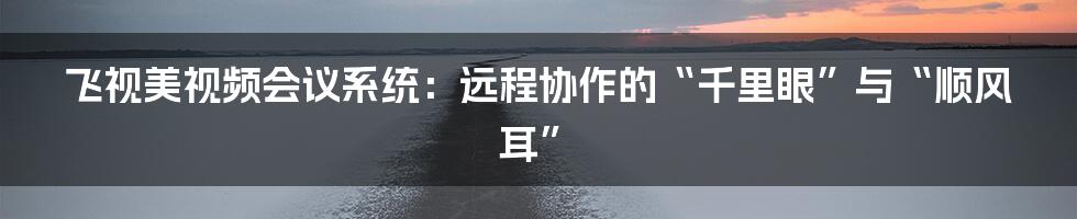 飞视美视频会议系统:远程协作的“千里眼”与“顺风耳”