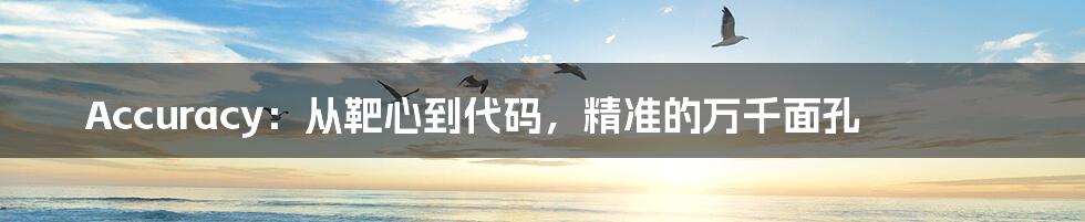 Accuracy：从靶心到代码，精准的万千面孔