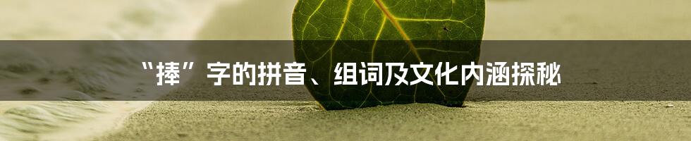 “捧”字的拼音、组词及文化内涵探秘