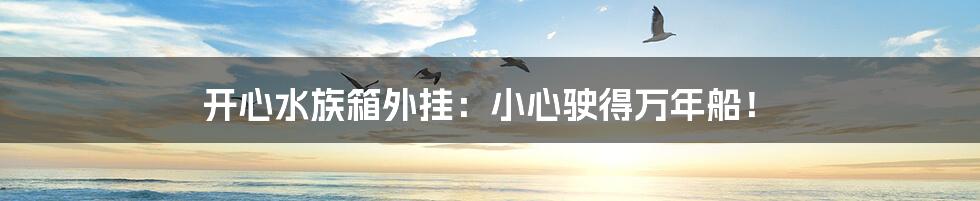 开心水族箱外挂：小心驶得万年船！
