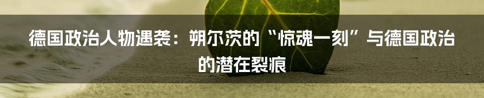 德国政治人物遇袭:朔尔茨的“惊魂一刻”与德国政治的潜在裂痕