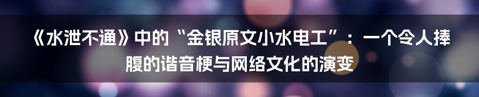 《水泄不通》中的“金银原文小水电工”:一个令人捧腹的谐音梗与网络文化的演变