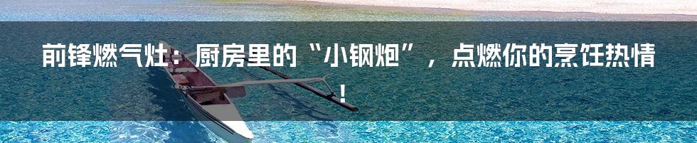 前锋燃气灶:厨房里的“小钢炮”,点燃你的烹饪热情!