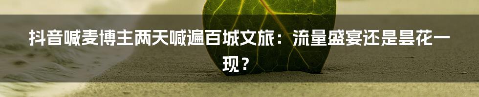 抖音喊麦博主两天喊遍百城文旅：流量盛宴还是昙花一现？