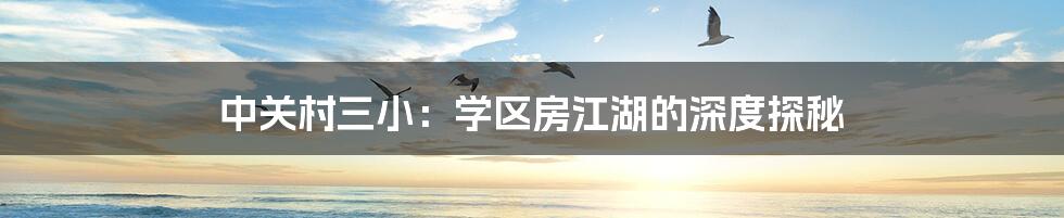 中关村三小:学区房江湖的深度探秘