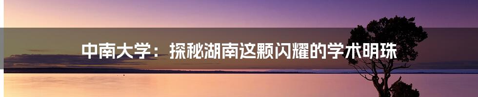 中南大学：探秘湖南这颗闪耀的学术明珠