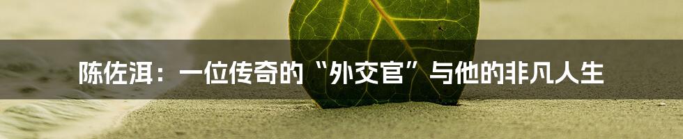 陈佐洱：一位传奇的“外交官”与他的非凡人生