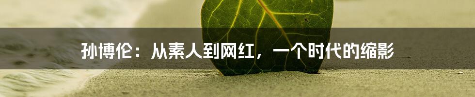 孙博伦：从素人到网红，一个时代的缩影