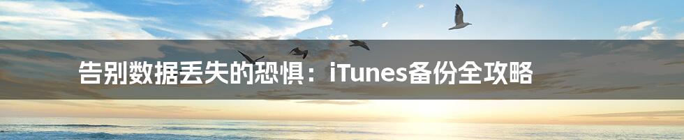 告别数据丢失的恐惧：iTunes备份全攻略