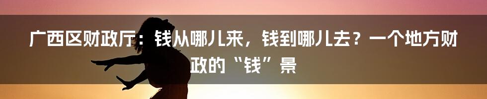 广西区财政厅:钱从哪儿来,钱到哪儿去?一个地方财政的“钱”景